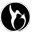 Nectar Collector logo